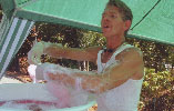 Steve the Cotton Candy King