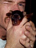 Komet's puppy, Haili's grandpuppy