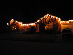 Lights Lights